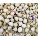 White River Stone Small 